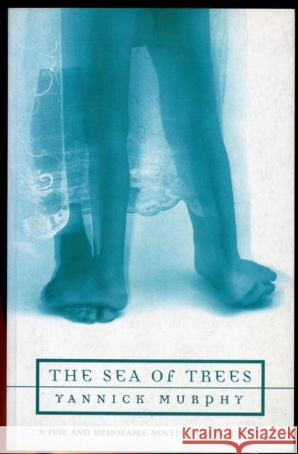 The Sea of Trees Yannick Murphy 9780747538257 Bloomsbury Publishing PLC - książka