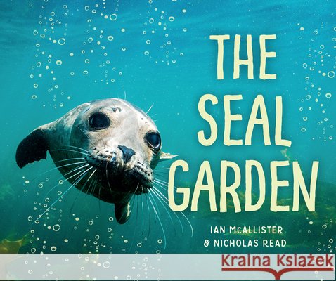 The Seal Garden Ian McAllister Nicholas Read 9781459812673 Orca Book Publishers - książka