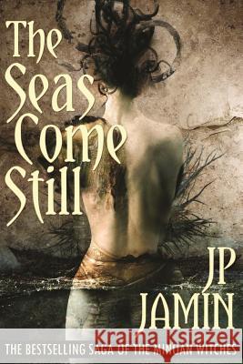 The Seas Come Still J. P. Jamin 9780996699686 John P. Drohan - książka