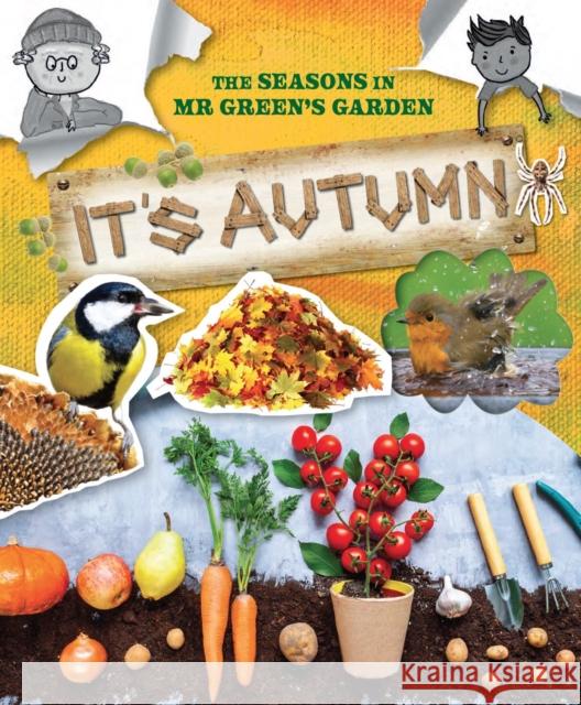 The Seasons In Mr Green's Garden: It's Autumn Ruth Owen   9781788563482 Ruby Tuesday Books Ltd - książka