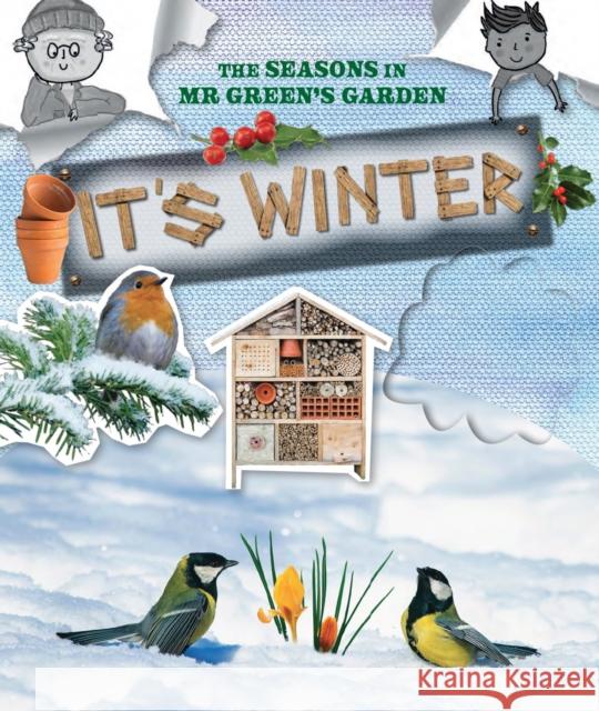 The Seasons in Mr Green's Garden: It's Winter Ruth Owen   9781788563451 Ruby Tuesday Books Ltd - książka