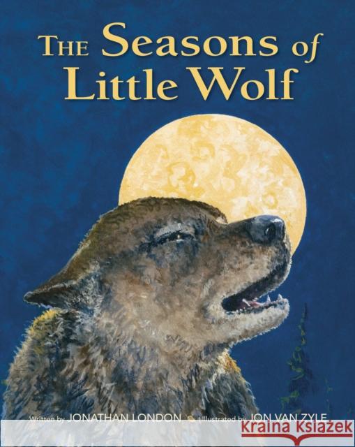 The Seasons of Little Wolf Jonathan London Jon Va 9781941821060 Westwinds Press - książka