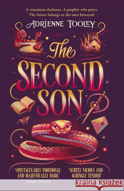 The Second Son Adrienne Tooley 9781399714037 Hodder & Stoughton - książka