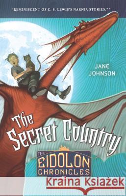 The Secret Country Jane Johnson Adam Stower 9781416938156 Aladdin Paperbacks - książka