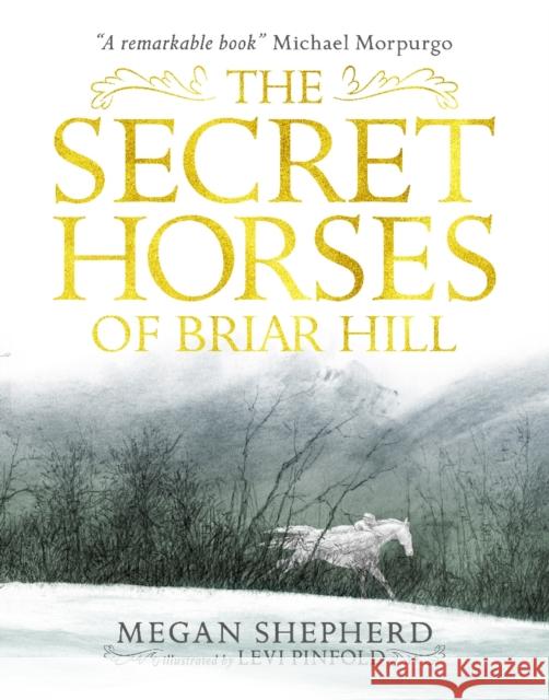 The Secret Horses of Briar Hill Shepherd, Megan 9781406373554  - książka