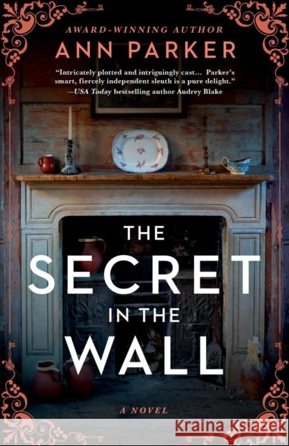 The Secret in the Wall: A Novel Ann Parker 9781464214943 Sourcebooks, Inc - książka