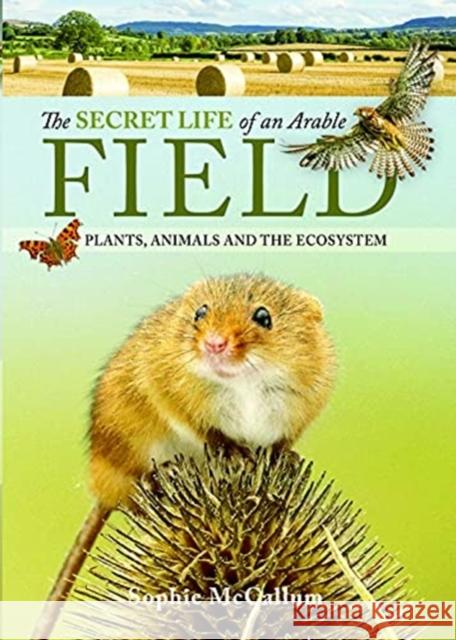 The Secret Life of an Arable Field: Plants, Animals and the Ecosystem Sophie McCallum 9781526788443 White Owl - książka