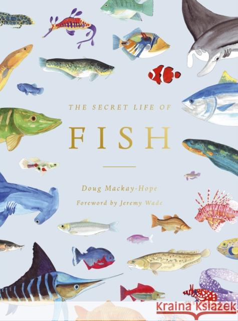 The Secret Life of Fish: The Astonishing Truth about our Aquatic Cousins Doug Mackay-Hope 9780711260993 White Lion Publishing - książka