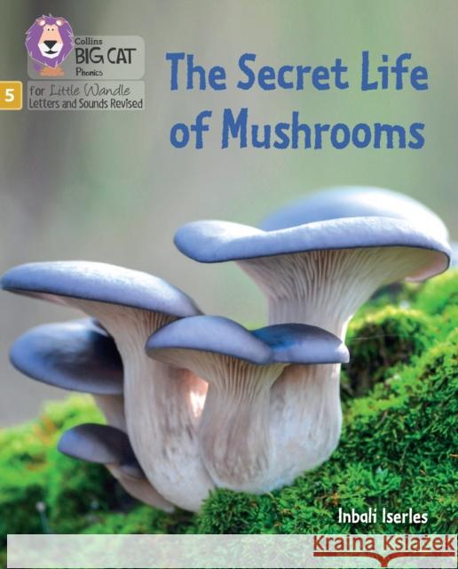 The Secret Life of Mushrooms: Phase 5 Set 4 Stretch and Challenge  9780008539344 HarperCollins Publishers - książka