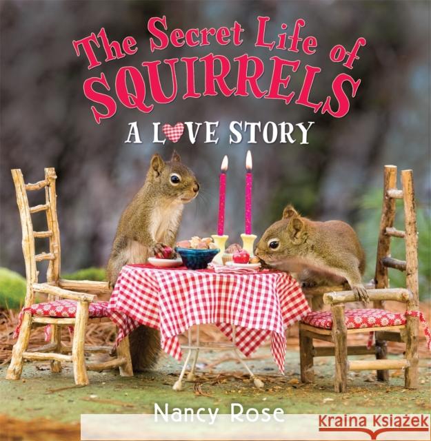 The Secret Life of Squirrels: A Love Story Nancy Rose 9780316272636 Little, Brown Books for Young Readers - książka