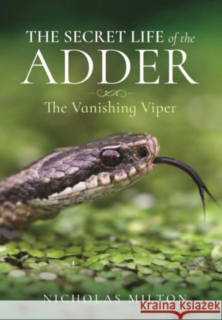The Secret Life of the Adder: The Vanishing Viper Nicholas Milton 9781399018166 Pen & Sword Books Ltd - książka