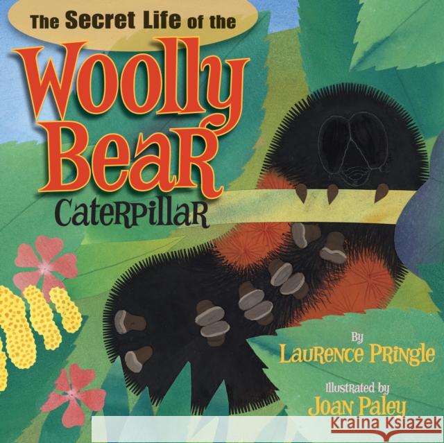 The Secret Life of the Woolly Bear Caterpillar Laurence Pringle Joan Paley 9781620910009 Boyds Mills Press - książka
