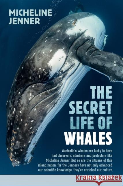 The Secret Life of Whales Jenner, Micheline 9781742235547 University of New South Wales Press - książka