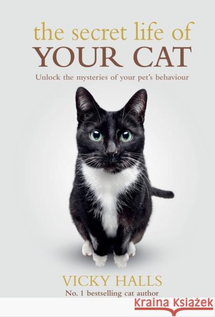 The Secret Life Of Your Cat Vicky Halls 9781788404785 Octopus Publishing Group - książka