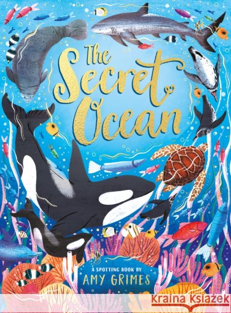 The Secret Ocean Amy Grimes 9780702331220 Scholastic - książka