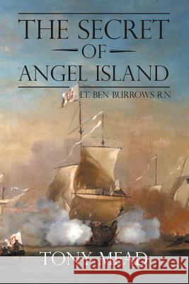 The Secret of Angel Island Tony Mead 9781787192904 New Generation Publishing - książka