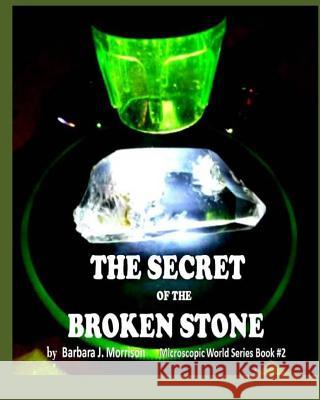 The Secret of the Broken Stone: The Microscopic World Series Book 2 Barbara J. Morrison 9781519192219 Createspace Independent Publishing Platform - książka