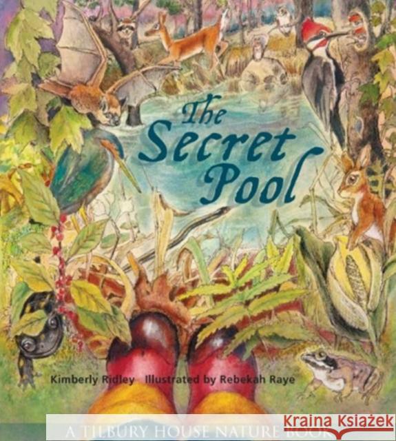 The Secret Pool Kimberley Ridley Rebekah Raye 9780884483397 Tilbury House Publishers - książka