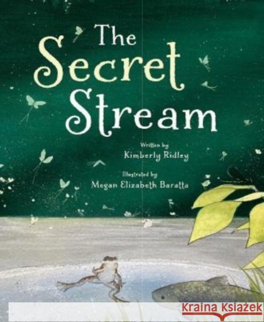 The Secret Stream Megan Elizabeth Baratta Kimberly Ridley 9780884488170 Tilbury House Publishers - książka