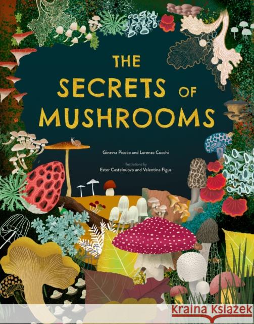 The Secrets of Mushrooms Lorenzo Cocchi 9781804538739 Hachette Children's Group - książka