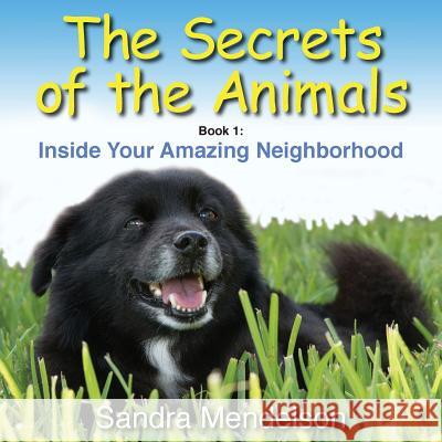 The Secrets of the Animals: Inside Your Amazing Neighborhood Sandra Mendelson 9780999270424 Little Black Paws Publishing - książka