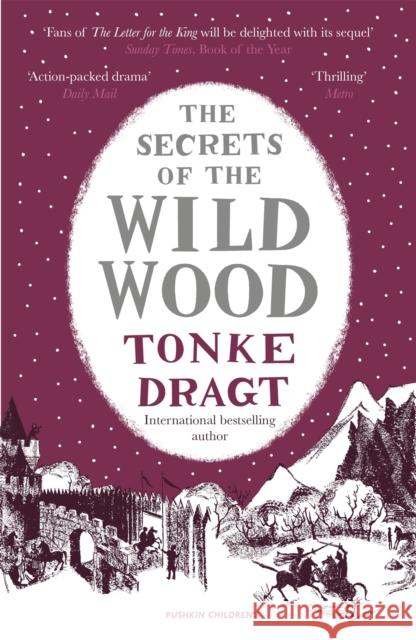 The Secrets of the Wild Wood (Winter Edition) Tonke (Author) Dragt 9781782691952  - książka