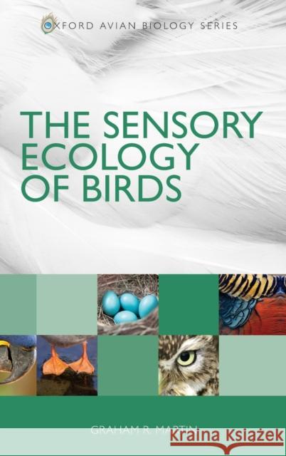 The Sensory Ecology of Birds Graham Martin 9780199694532 Oxford University Press, USA - książka