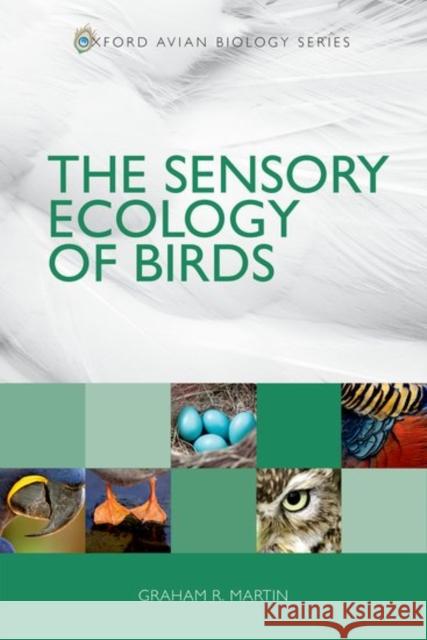 The Sensory Ecology of Birds Graham Martin 9780199694549 Oxford University Press, USA - książka