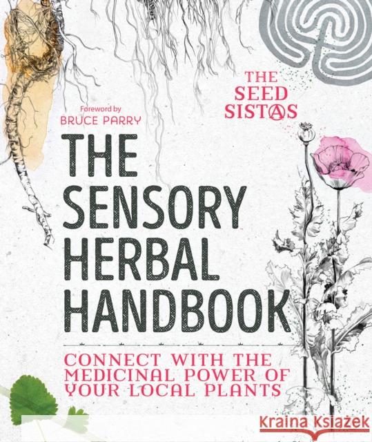 The Sensory Herbal Handbook: Connect with the Medicinal Power of Your Local Plants Fiona Heckels Karen Lawton Belle Benfield 9781786782113 Watkins Media Limited - książka