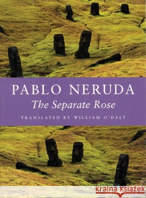 The Separate Rose Pablo Neruda William O'Daly 9781556592256 Copper Canyon Press - książka