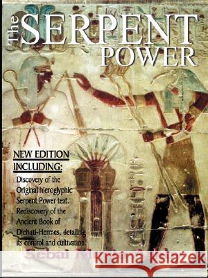 The Serpent Power: The Ancient Egyptian Mystical Wisdom of the Inner Life Force Muata Abhaya Ashby 9781884564192 Cruzian Mystic Books - książka