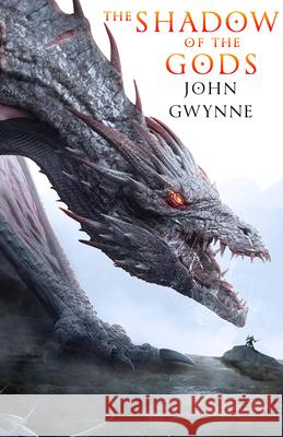 The Shadow of the Gods (Standard Hardcover Edition) John Gwynne 9780316596992 Orbit - książka