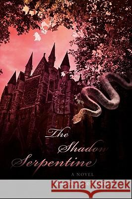 The Shadow Serpentine Matthew Lee Davis 9780595501724 iUniverse - książka