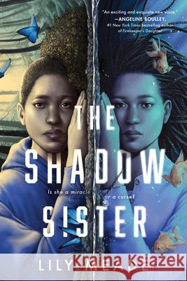 The Shadow Sister Lily Meade 9781464218484 Sourcebooks Fire - książka