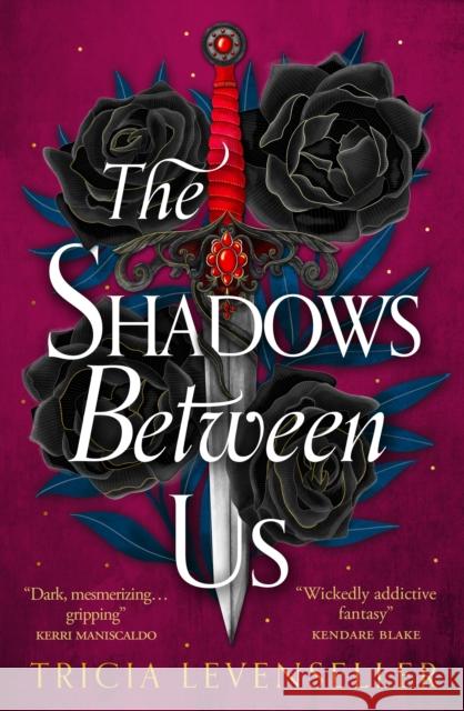 The Shadows Between Us Tricia Levenseller 9781782693727 Pushkin Children's Books - książka