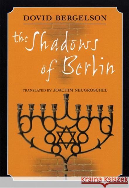 The Shadows of Berlin: The Berlin Stories of Dovid Bergelson David Bergelson Joachim Neugroschel 9780872864443 City Lights Books - książka