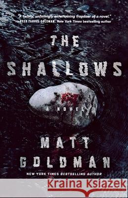 The Shallows: A Nils Shapiro Novel Goldman, Matt 9781250823304 St. Martins Press-3PL - książka