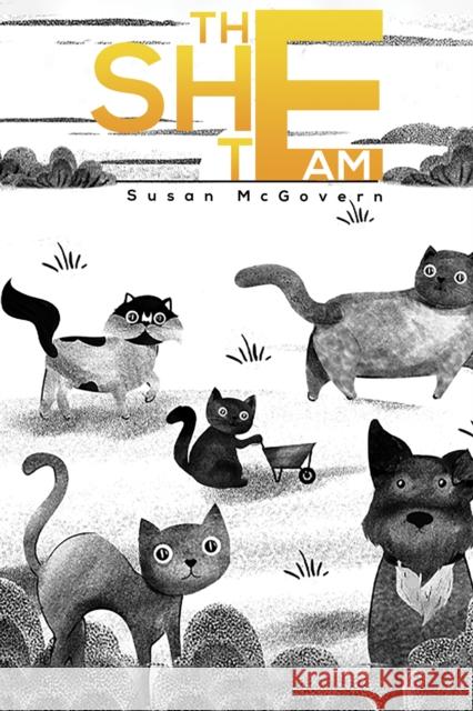 The She Team Susan McGovern 9781398403062 Austin Macauley Publishers - książka