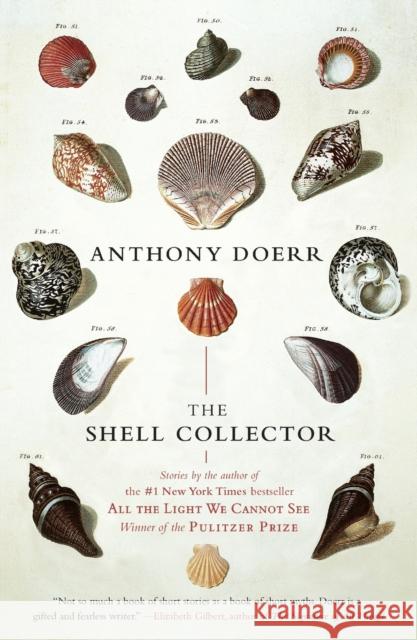 The Shell Collector: Stories Anthony Doerr 9781439190050 Scribner Book Company - książka