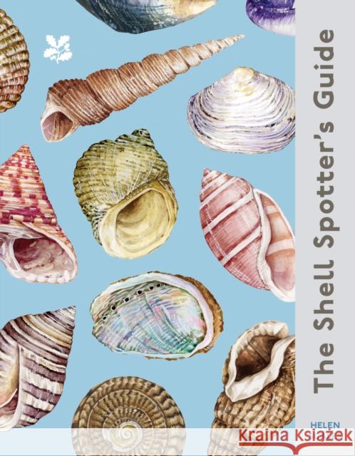 The Shell Spotter’s Guide Helen Scales 9780008641313 HarperCollins Publishers - książka
