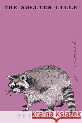 The Shelter Cycle Peter Rock 9781593768331 Soft Skull - książka