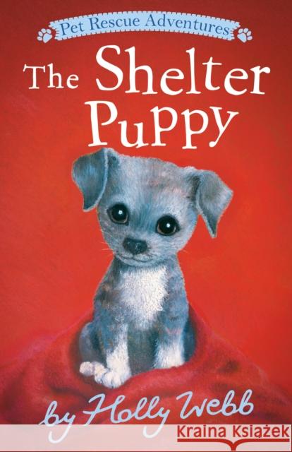 The Shelter Puppy Holly Webb Sophy Williams 9781664340039 Tiger Tales - książka