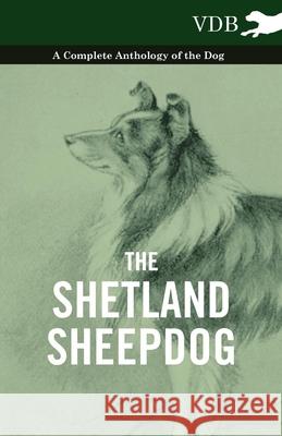 The Shetland Sheepdog - A Complete Anthology of the Dog Various 9781445526577 Vintage Dog Books - książka