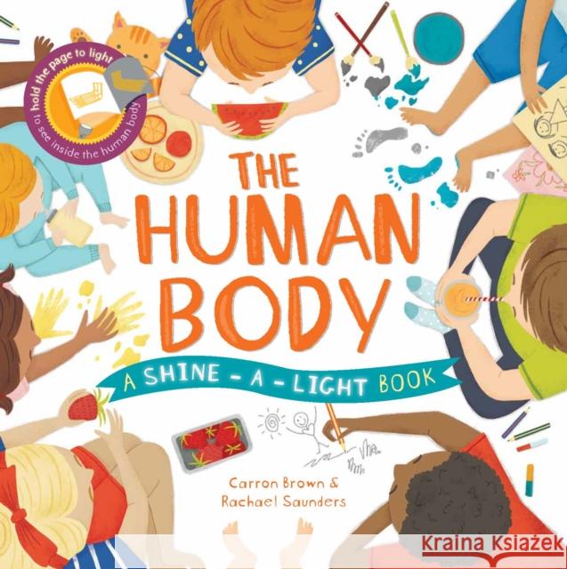 The Shine a Light: Human Body Carron Brown 9781782403920 Quarto Publishing PLC - książka