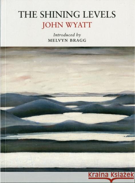 The Shining Levels John Wyatt 9781908213037  - książka