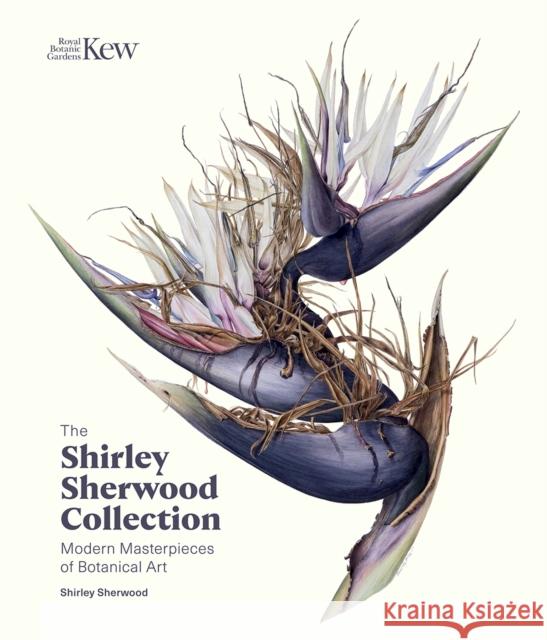 The Shirley Sherwood Collection: Botanical Art Over 30 Years Shirley Sherwood 9781842466933 Royal Botanic Gardens Kew - książka