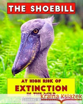 The Shoebill: At high risk of extinction in the wild Lionnel Mascarenhas 9781949002485 Shoebill LLC - książka