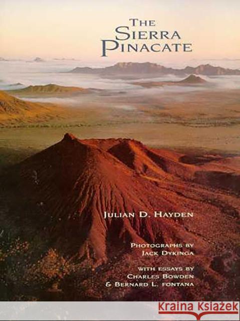 The Sierra Pinacate Julian Hayden 9780816517770 University of Arizona Press - książka