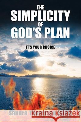 The Simplicity of God's Plan: It's Your Choice Davis, Sandra Thompson 9781449709549 WestBow Press - książka