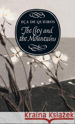 The Sin of Father Amaro Eca De Queiros Eca D 9781857541021 CARCANET PRESS LTD - książka